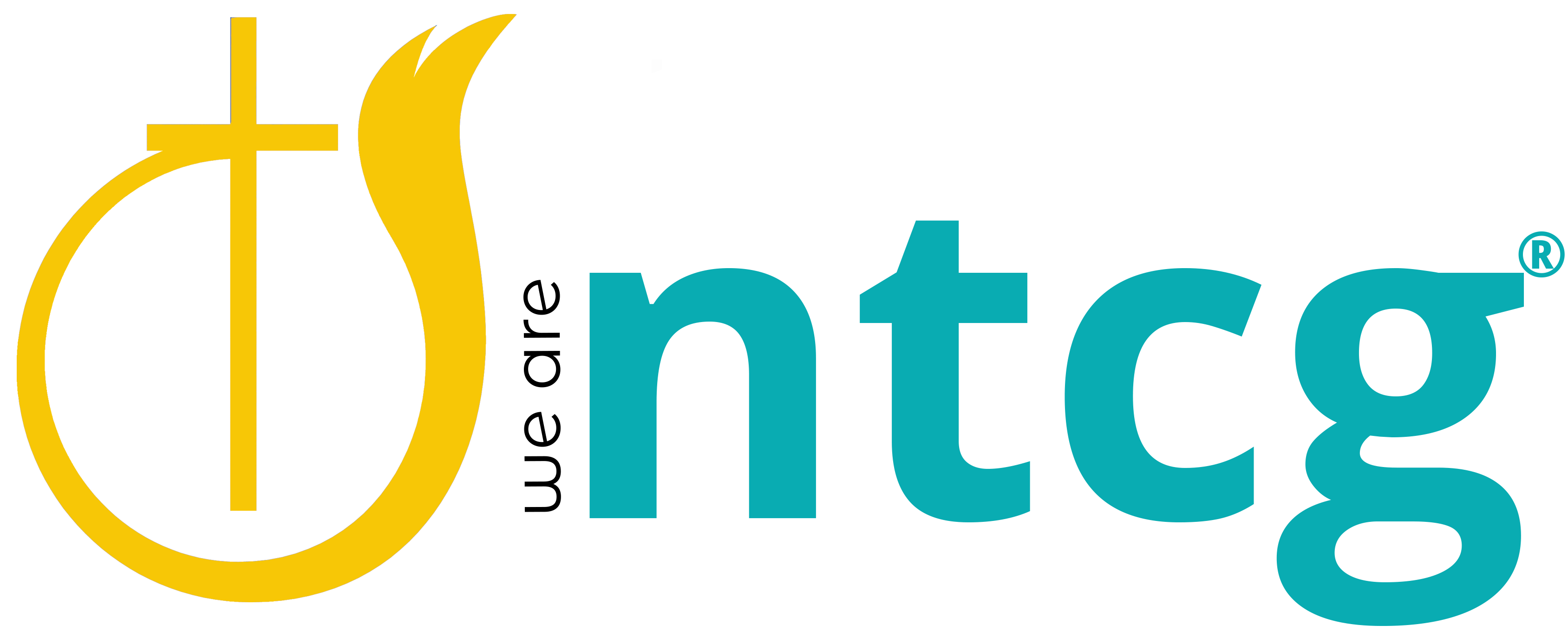 WE ARE NTCG Logo - FullColour2